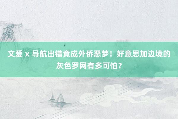 文爱 x 导航出错竟成外侨恶梦！好意思加边境的灰色罗网有多可怕？