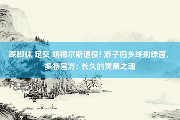 踩脚袜 足交 胡梅尔斯退役! 游子归乡终别绿茵， 多特官方: 长久的黄黑之魂